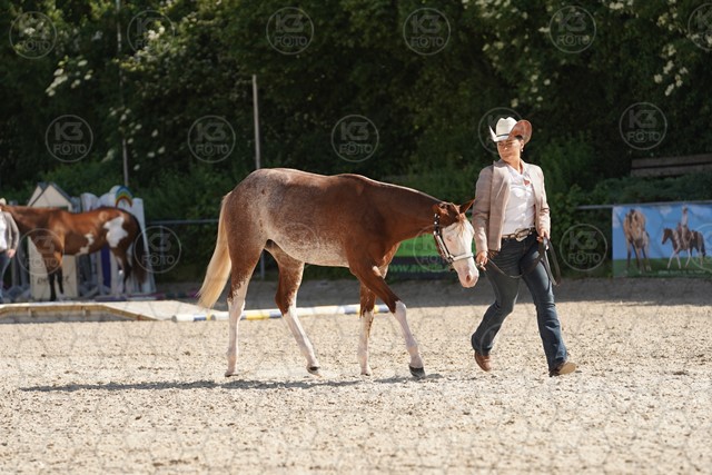 sA9K07563.JPG